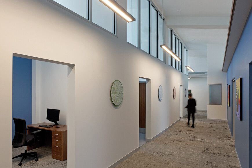 Office hallway with tan carpet, white walls and interior clerestory windows